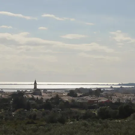 Les Terrasses De L Oliveraie Ferienhaus Mireval