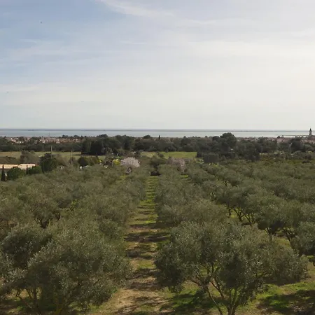Les Terrasses De L Oliveraie Vakantiehuis