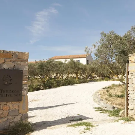 Holiday home Les Terrasses De L Oliveraie