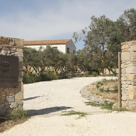 Les Terrasses De L Oliveraie