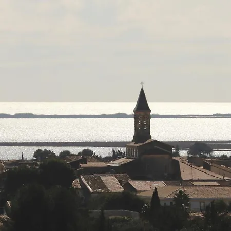 Ferienhaus Les Terrasses De L Oliveraie Mireval